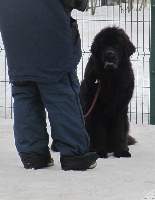 Фотография № 242012