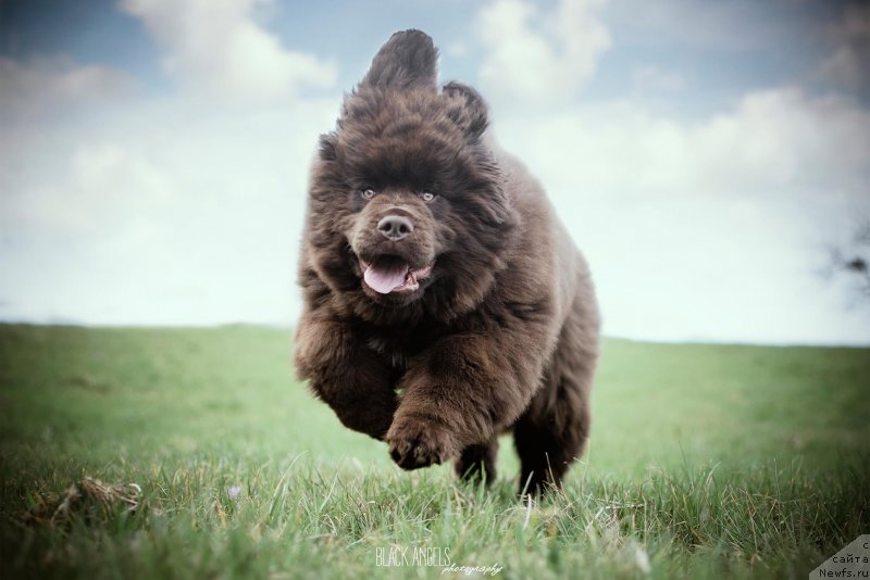 Фотография № 242020