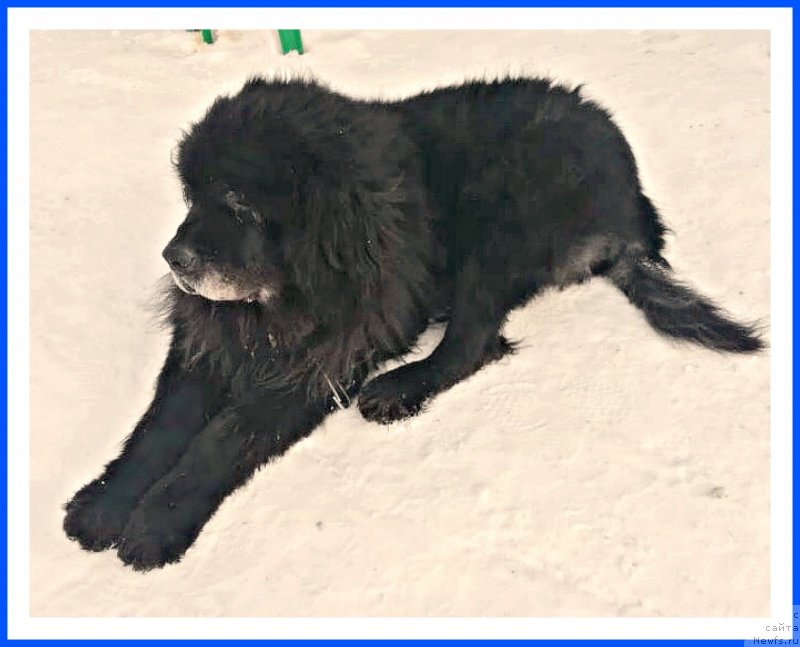 Фотография № 242031