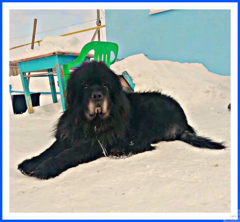 Фотография № 242032