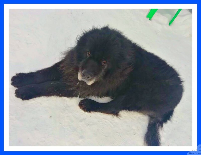 Фотография № 242033