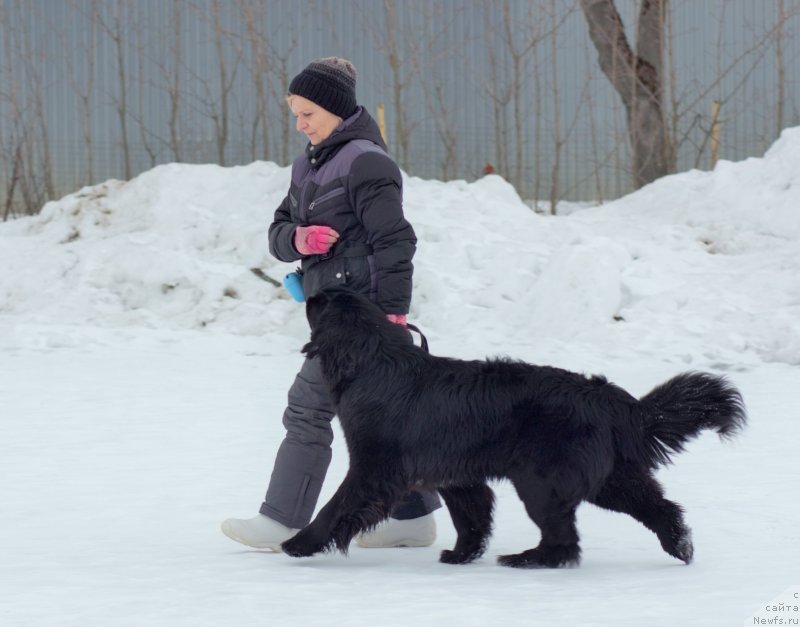 Фотография № 242035