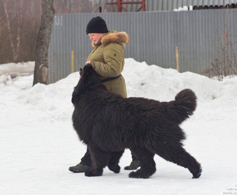 Фотография № 242037