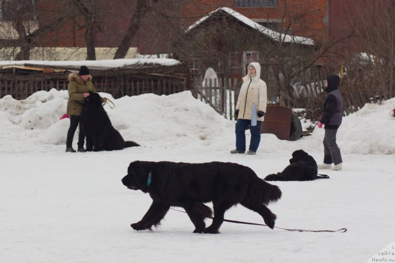 Фотография № 242038