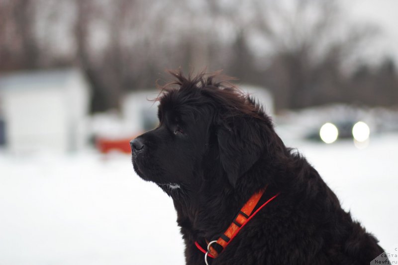 Фотография № 242041