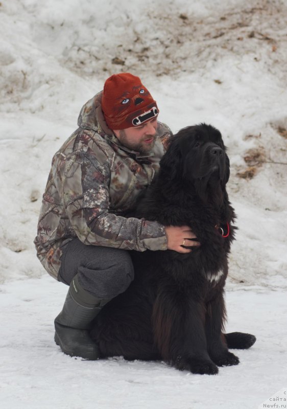 Фотография № 242042