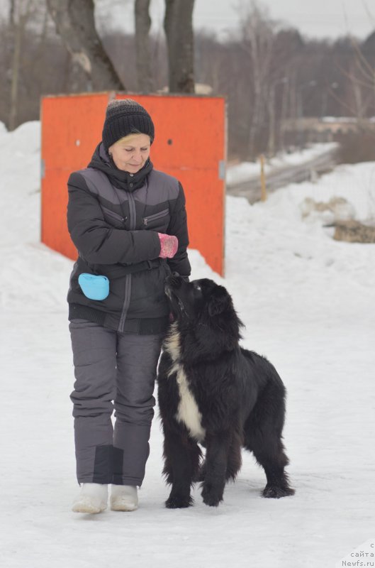 Фотография № 242043