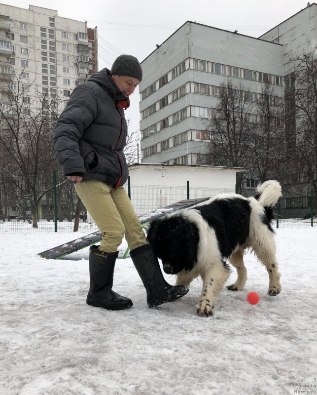 Фото: Илья Григоров