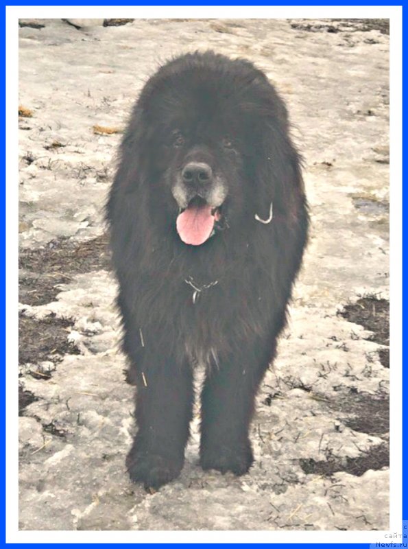 Фотография № 242075