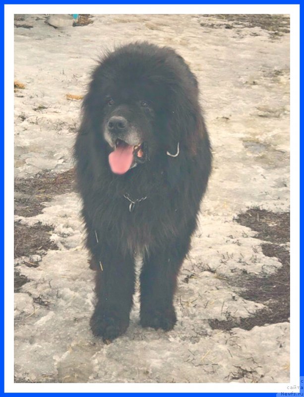 Фотография № 242076