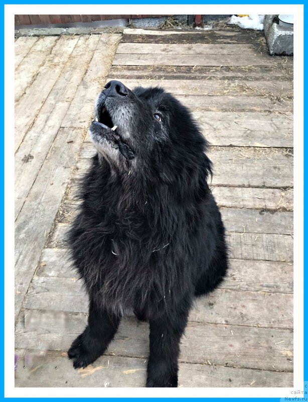 Фотография № 242077