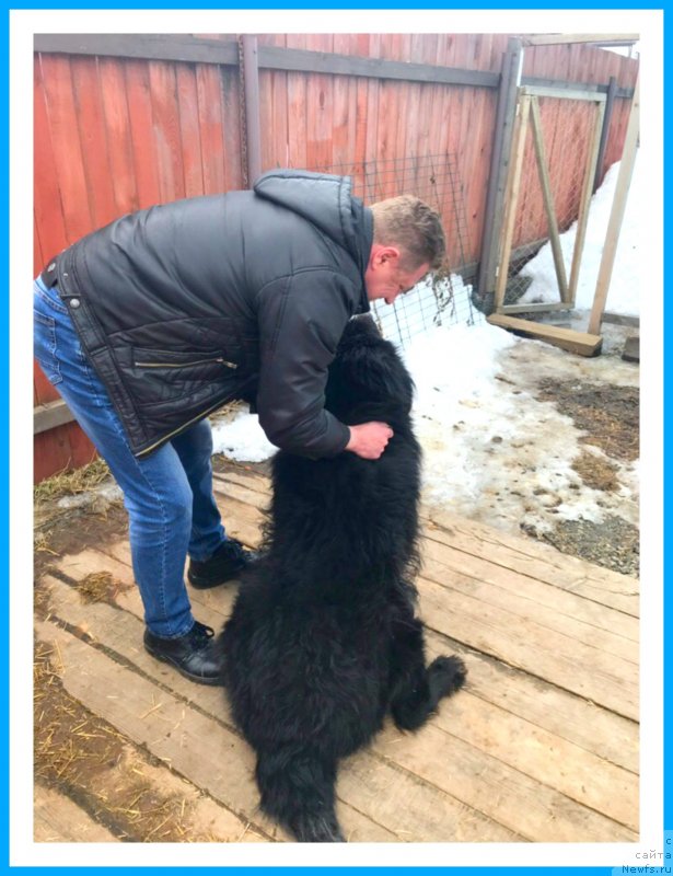 Фотография № 242081