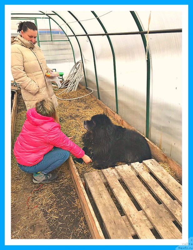 Фотография № 242082