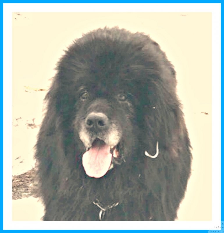 Фотография № 242083