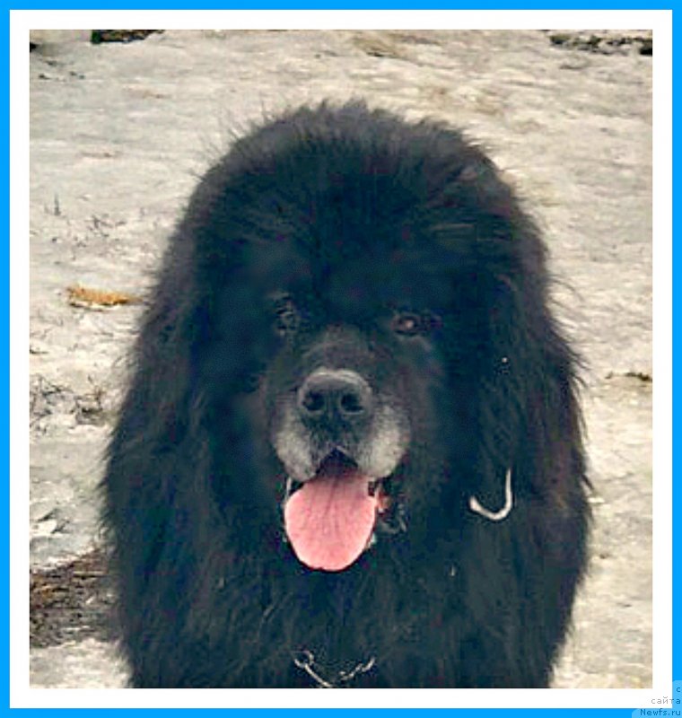 Фотография № 242084