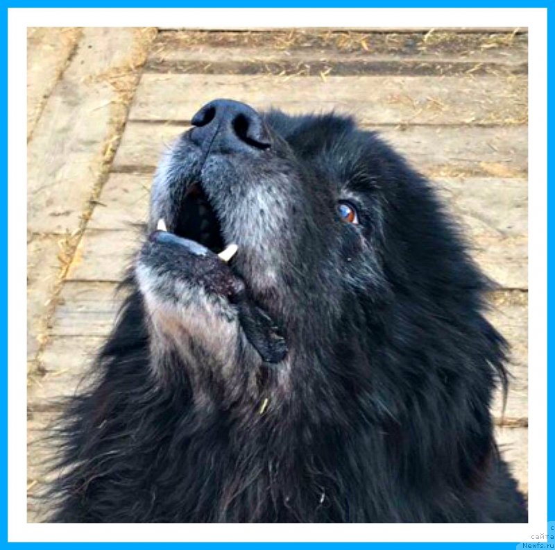 Фотография № 242086