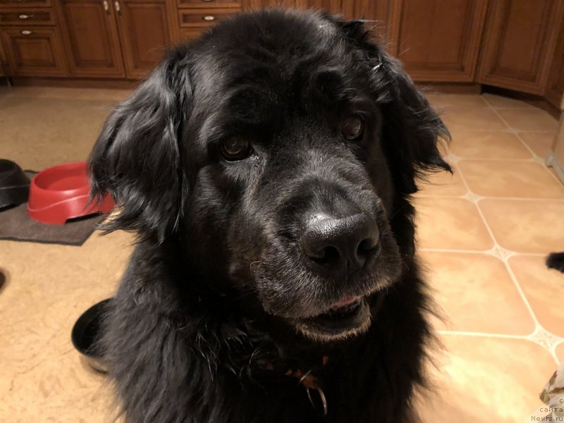 Фотография № 242097