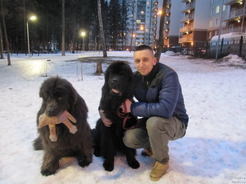 Фотография № 242099