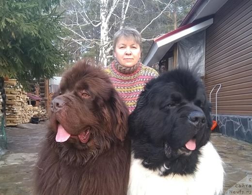 Фотография № 242142