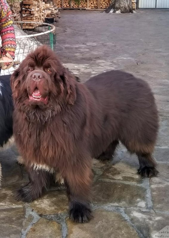 Фотография № 242144