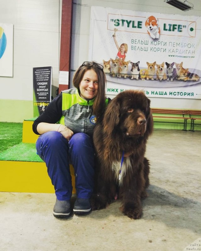 Фотография № 242145