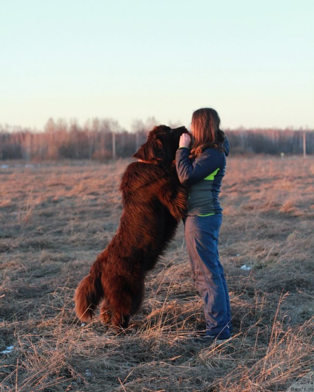 Фотография № 242149