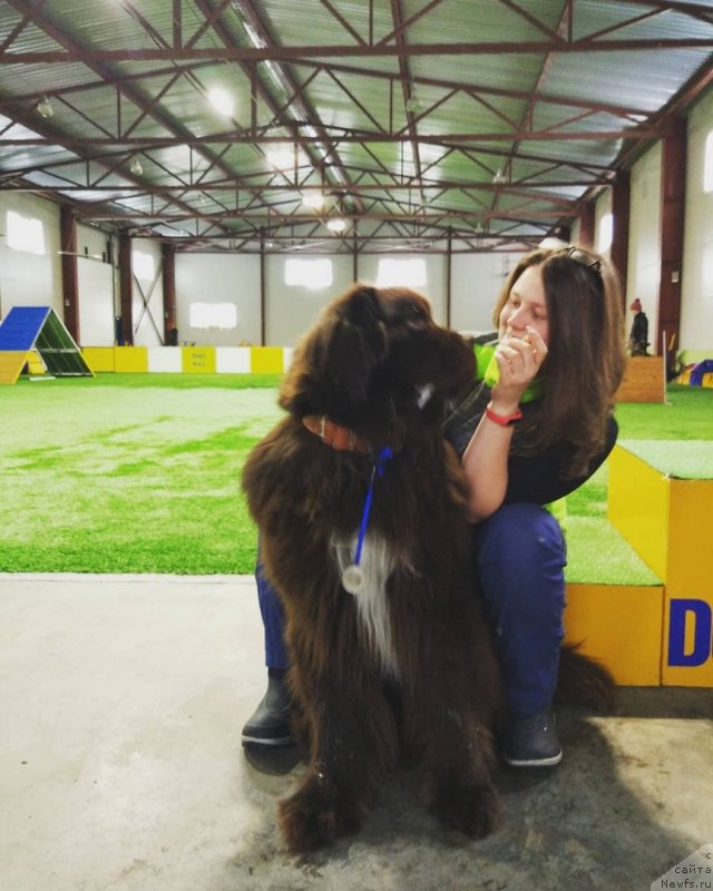 Фотография № 242150