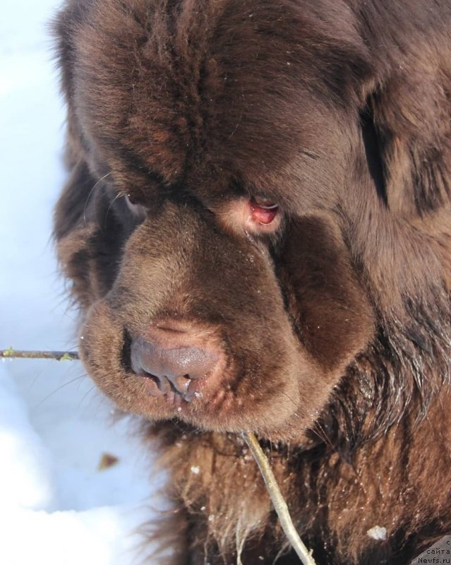 Фотография № 242155