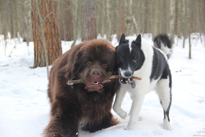 Фотография № 242159