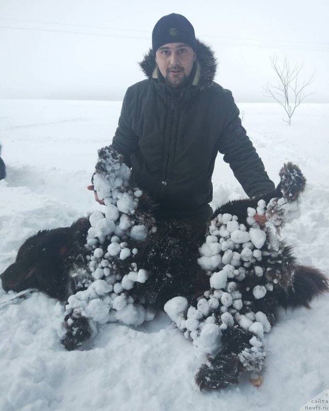 Фотография № 242162