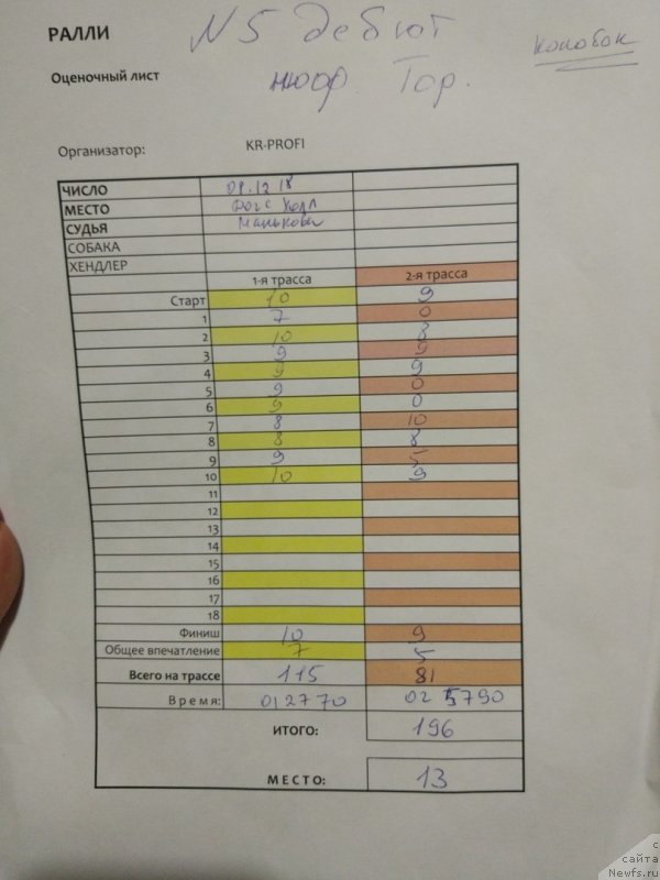 Фото: ньюфаундленд Браунблад МСК Абрамс-Стронг (Brownblood MSK Abrams-Strong)