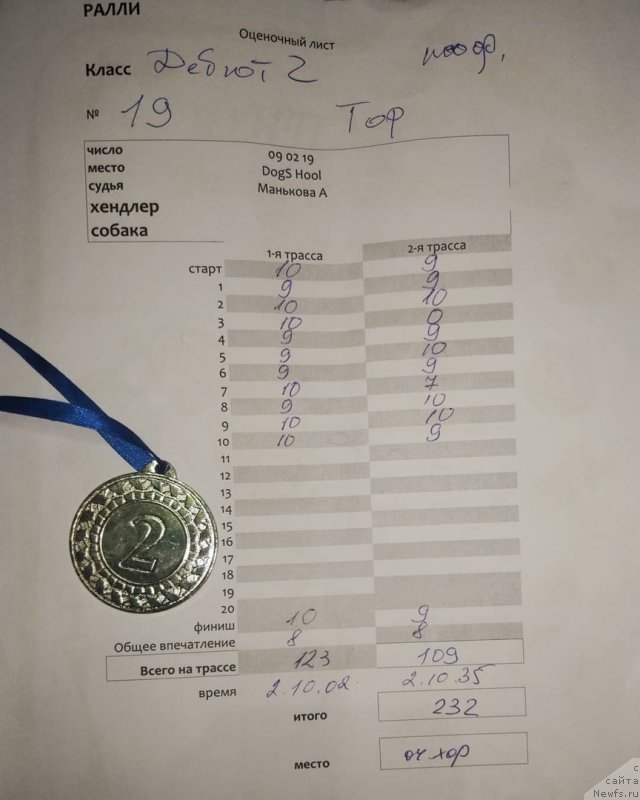 Фото: ньюфаундленд Браунблад МСК Абрамс-Стронг (Brownblood MSK Abrams-Strong)