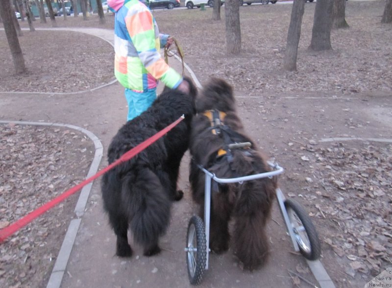 Фотография № 242200