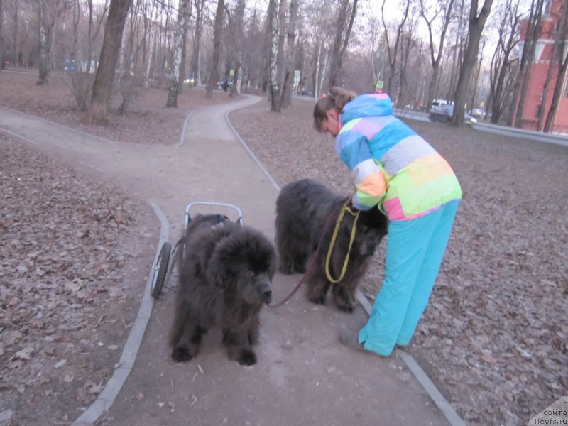 Фотография № 242201