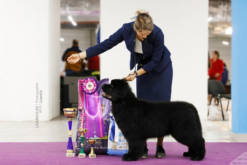 Фотография № 242208