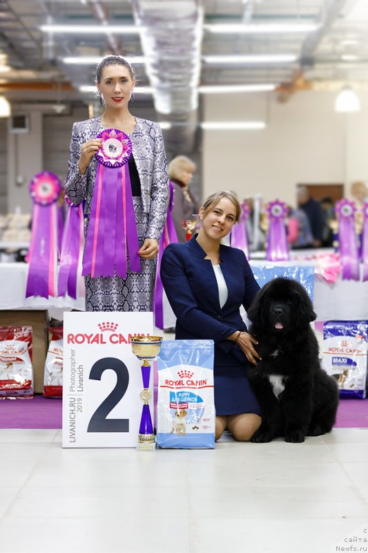 Фотография № 242209