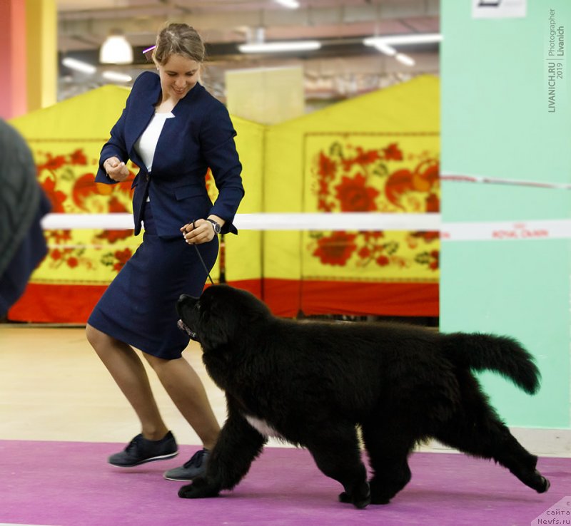 Фотография № 242211