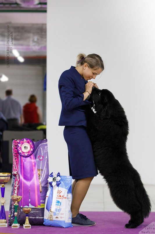 Фотография № 242212