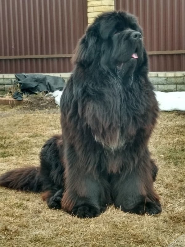 Фотография № 242228