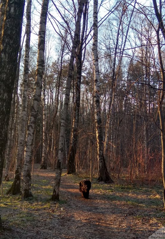 Фотография № 242247