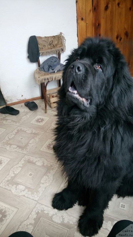 Фотография № 242250