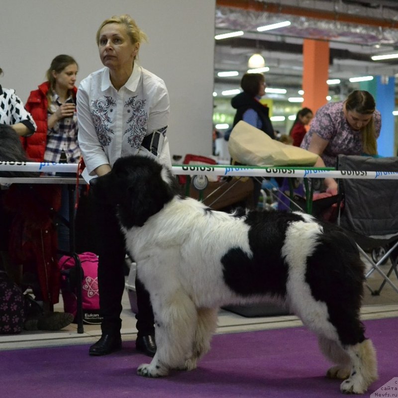 Фотография № 242256