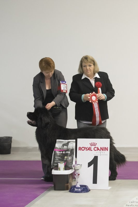 Фотография № 242258