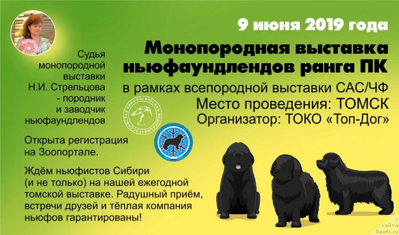 Фотография № 242270