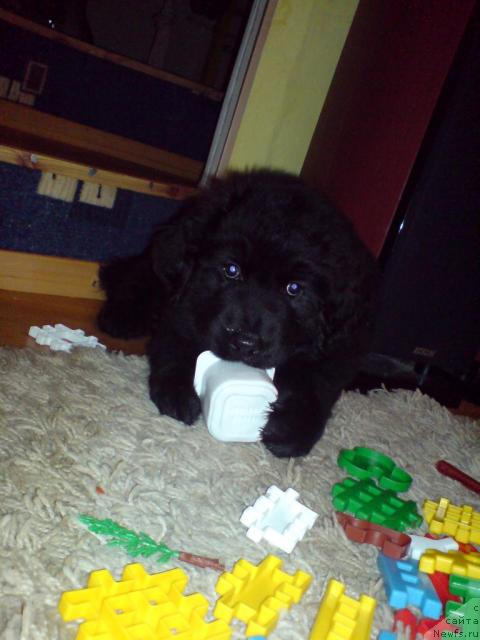 Фото: Светлана Белобаржевская