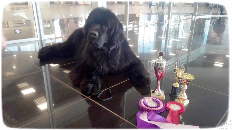 Фотография № 242286