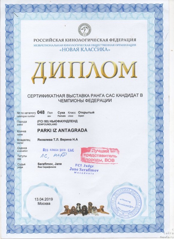 Фотография № 242295