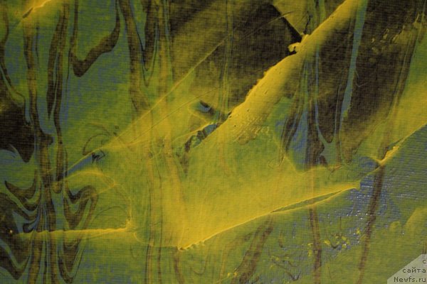 Фотография № 242299