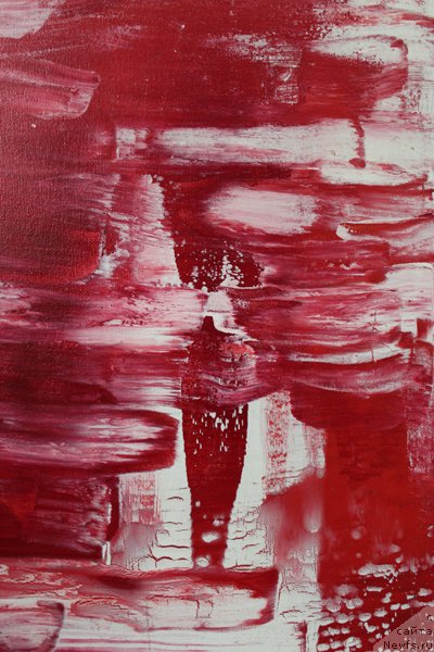 Фотография № 242312