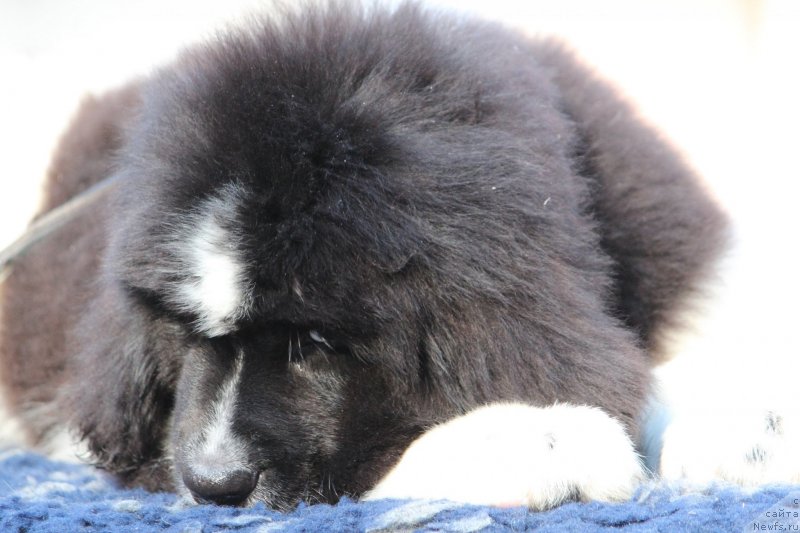 Фото: 2 месяца